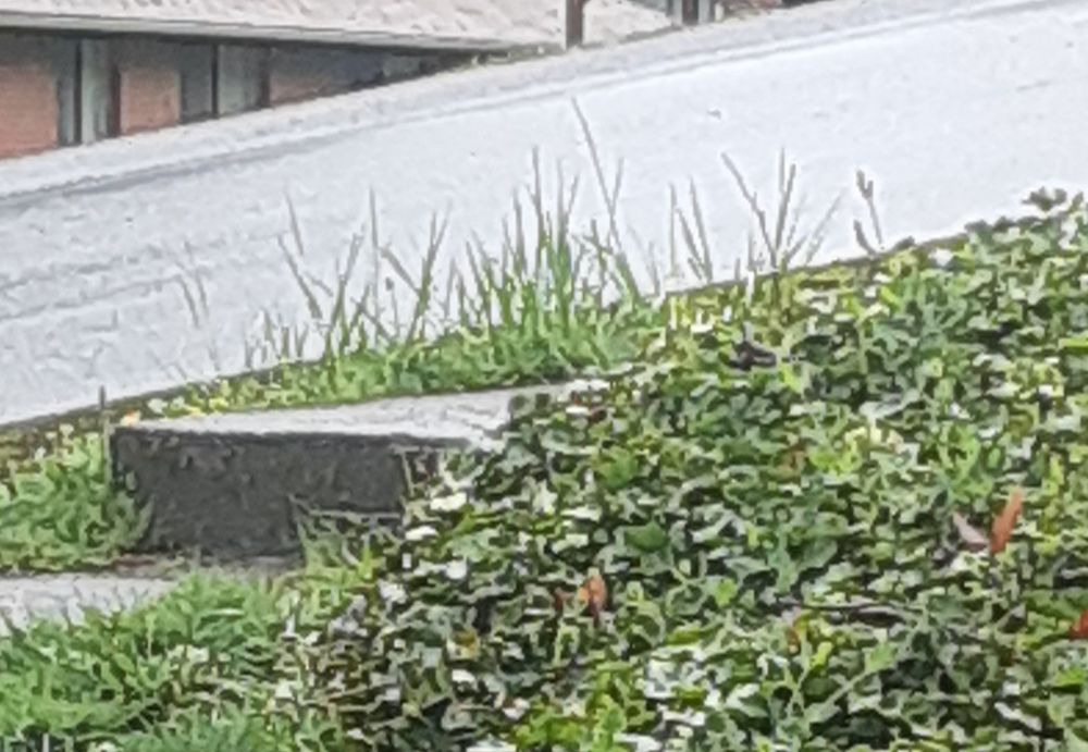 His Hands Lawncare & Svc