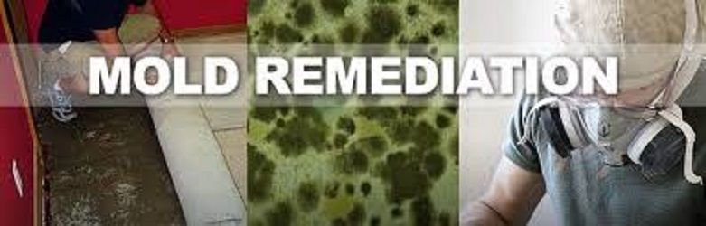 image of business Clean Air Contracting & Remediation