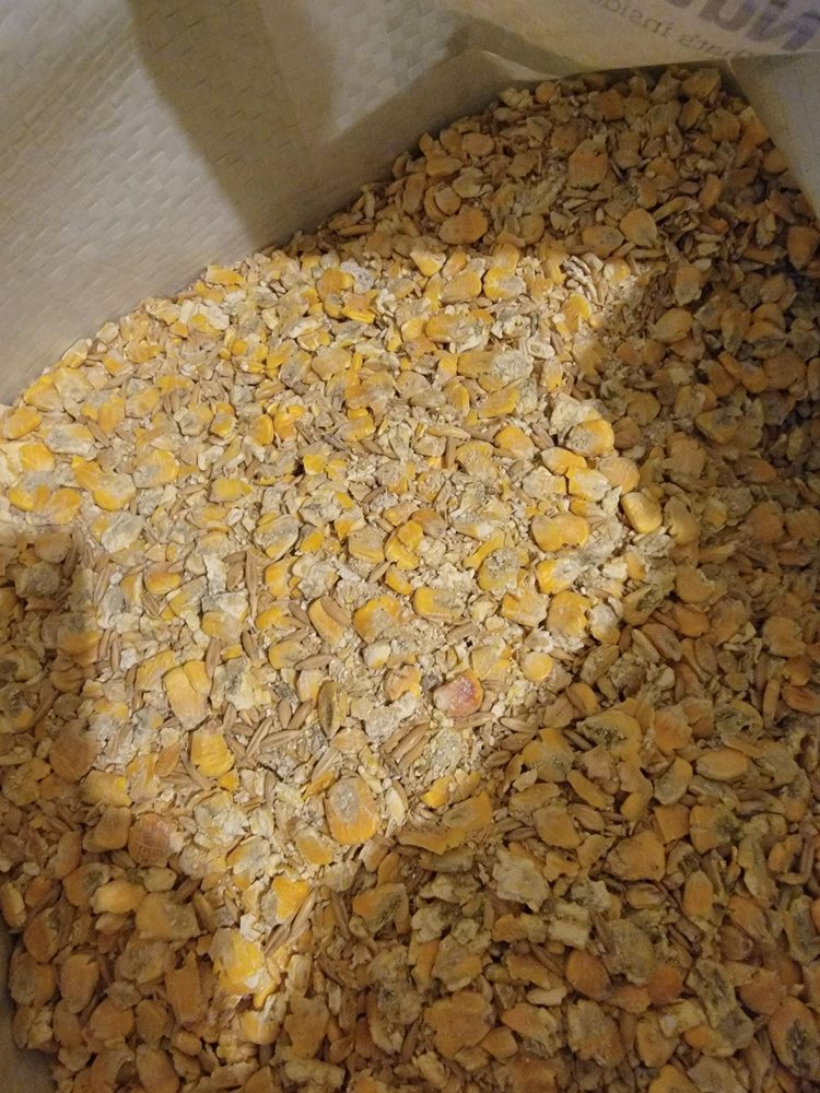 Cascade Farm and Outdoor