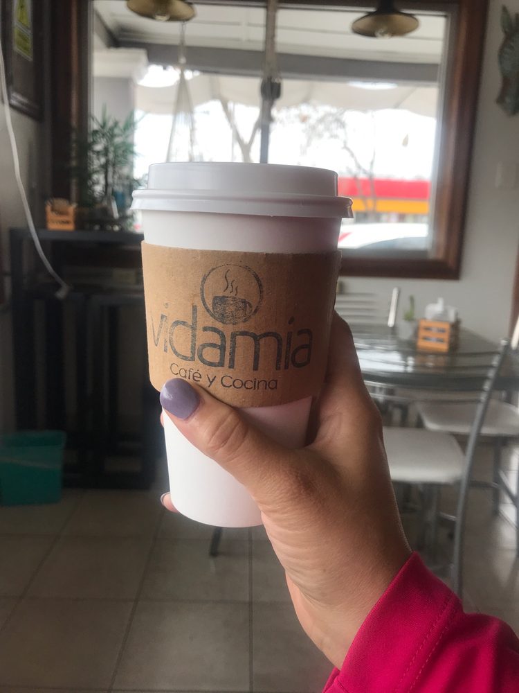 Vidamía