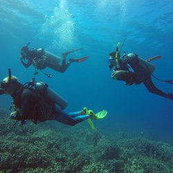 Scuba Diving Newport Beach The Best Beaches In World Scuba Diving Newport Beach The Best Beaches In World