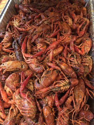 Boiling Crawfish 167 Photos 151 Reviews Sports Bars