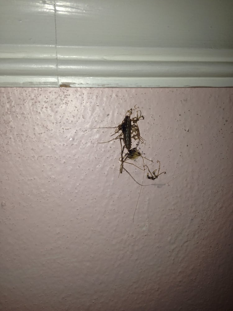 Lowes Motor Inn 27 Photos Hotels 401 Main St Point Pleasant Lowes Motor Inn 27 Photos Hotels 401 Main St Point Pleasant Wv Phone Number Last Updated December 17 2018 Yelp