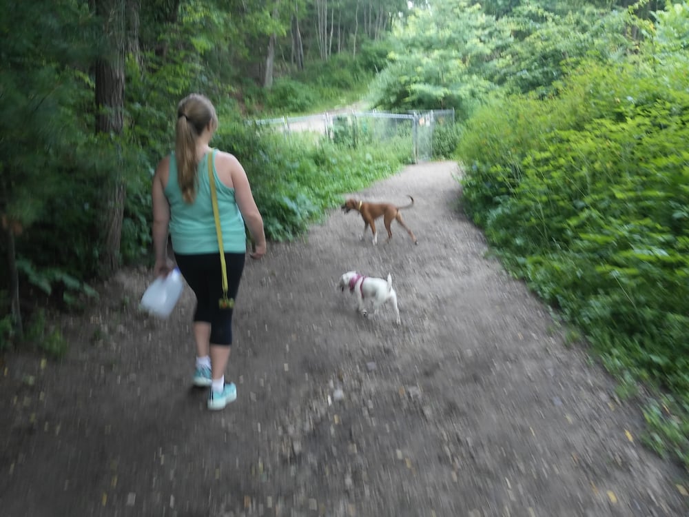 Quarry Run Dog Park 26 Photos & 13 Reviews Hiking 1026 Ocean Ave