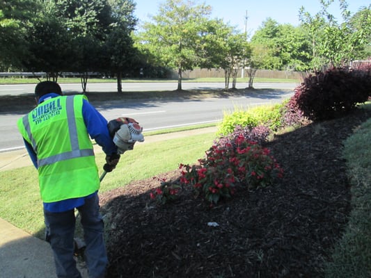 O Neill Landscape Group 254 Arnold Mill Rd Woodstock Ga Landscaping Reviews