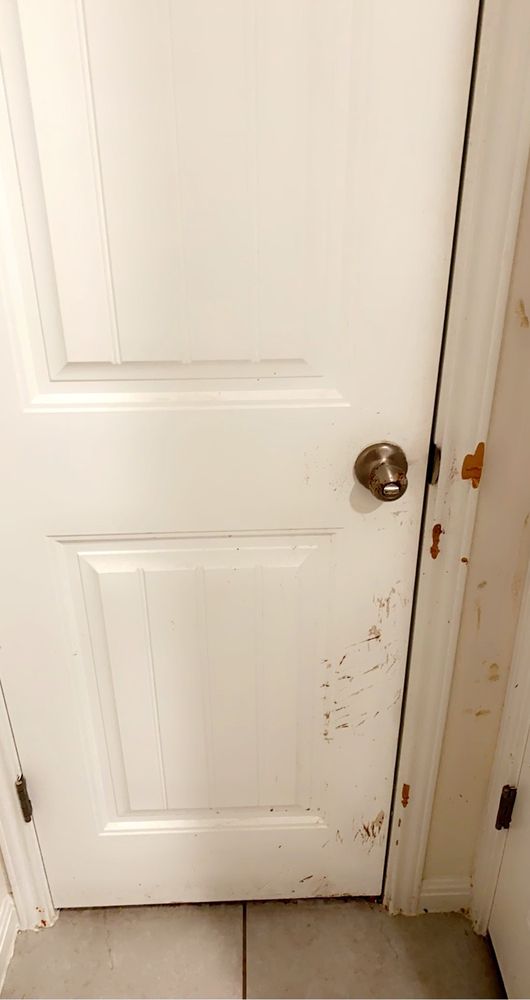 image of business Santiago