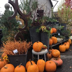 Tangletown Gardens - 10 Photos & 20 Reviews - Landscaping - 5353