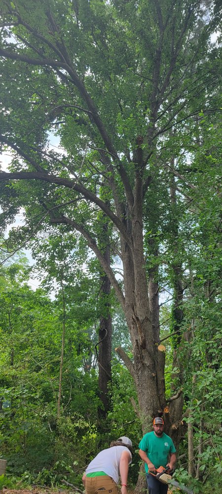 UpRooted Tree Service