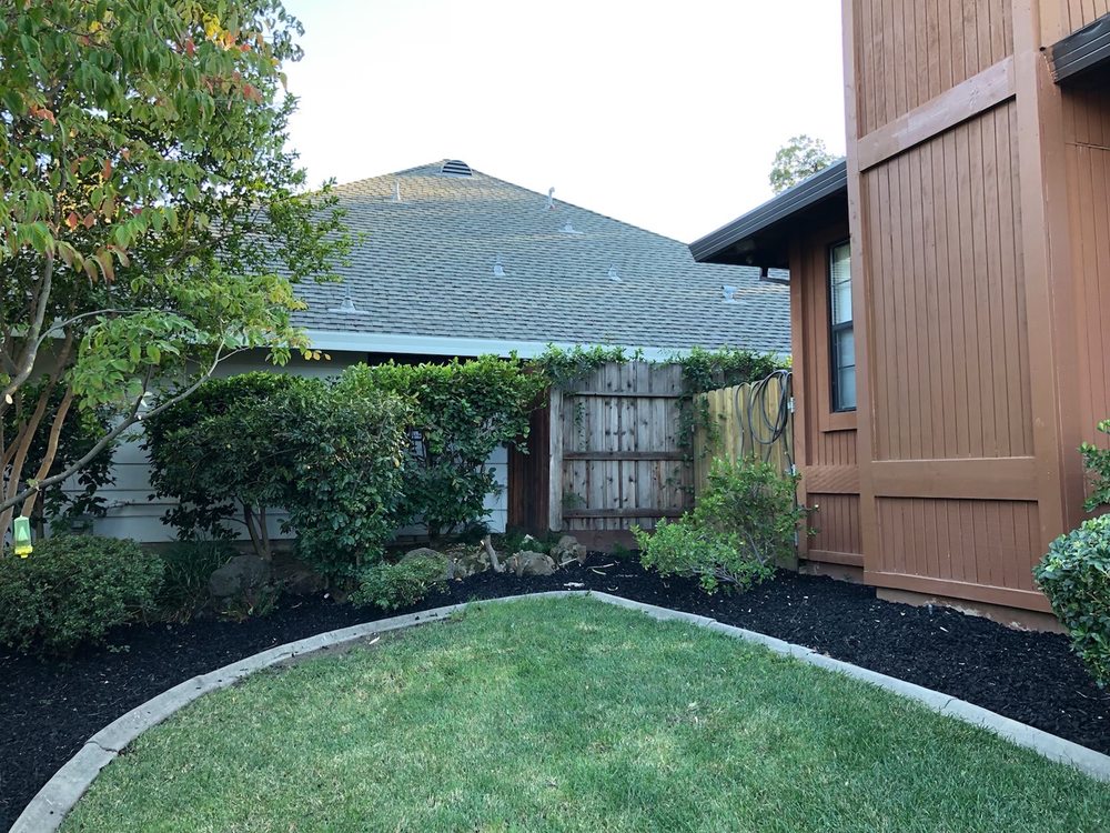 Elite Lawn and Yard Care