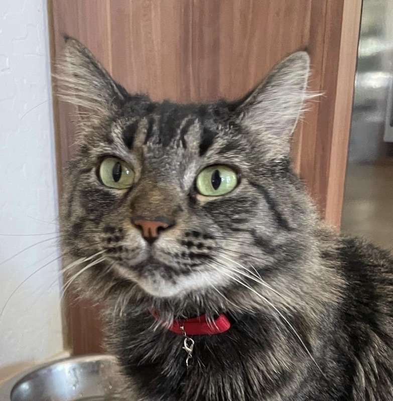 Trevino's Country Store