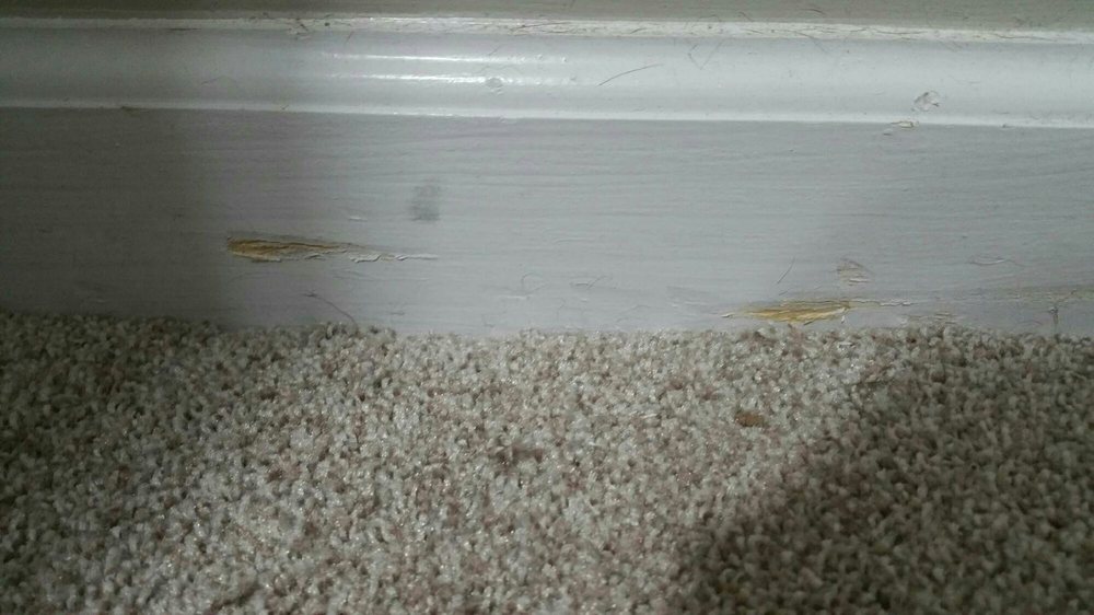 image of business JR Flooring Installation