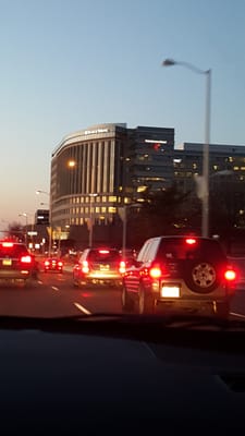 Cap Gemini Ernst & Young