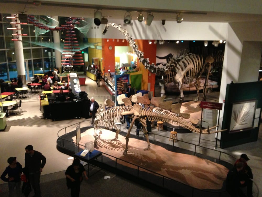 Paleontology Department At The Science Museum Of Minnesota