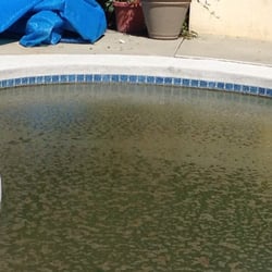 p p pools pool cleaners carmel mountain san diego ca phone