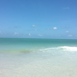 Bean Point 19 Photos Beaches Anna Maria Fl Yelp Photo Of Bean Point Anna Maria Fl United States Beach