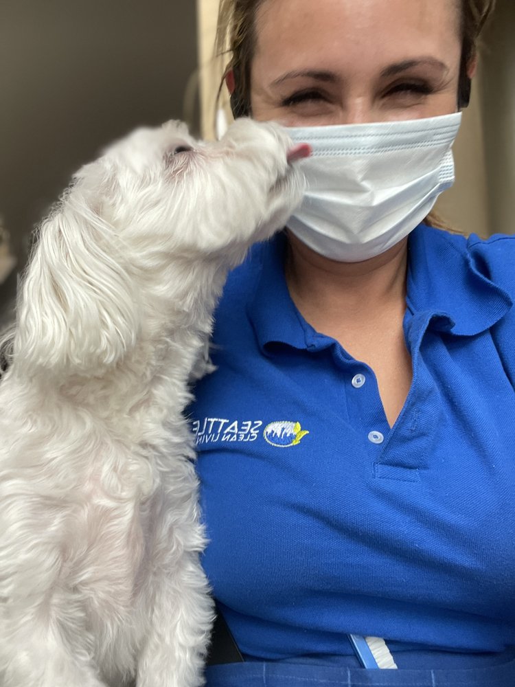 Seattle Clean Living