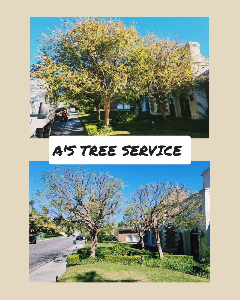A's Tree Service