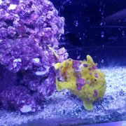 The Ocean Floor 74 Photos 94 Reviews Pet Stores 2347 W