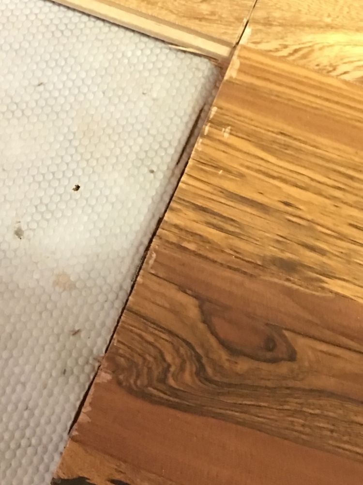 image of business Queen of Klutter