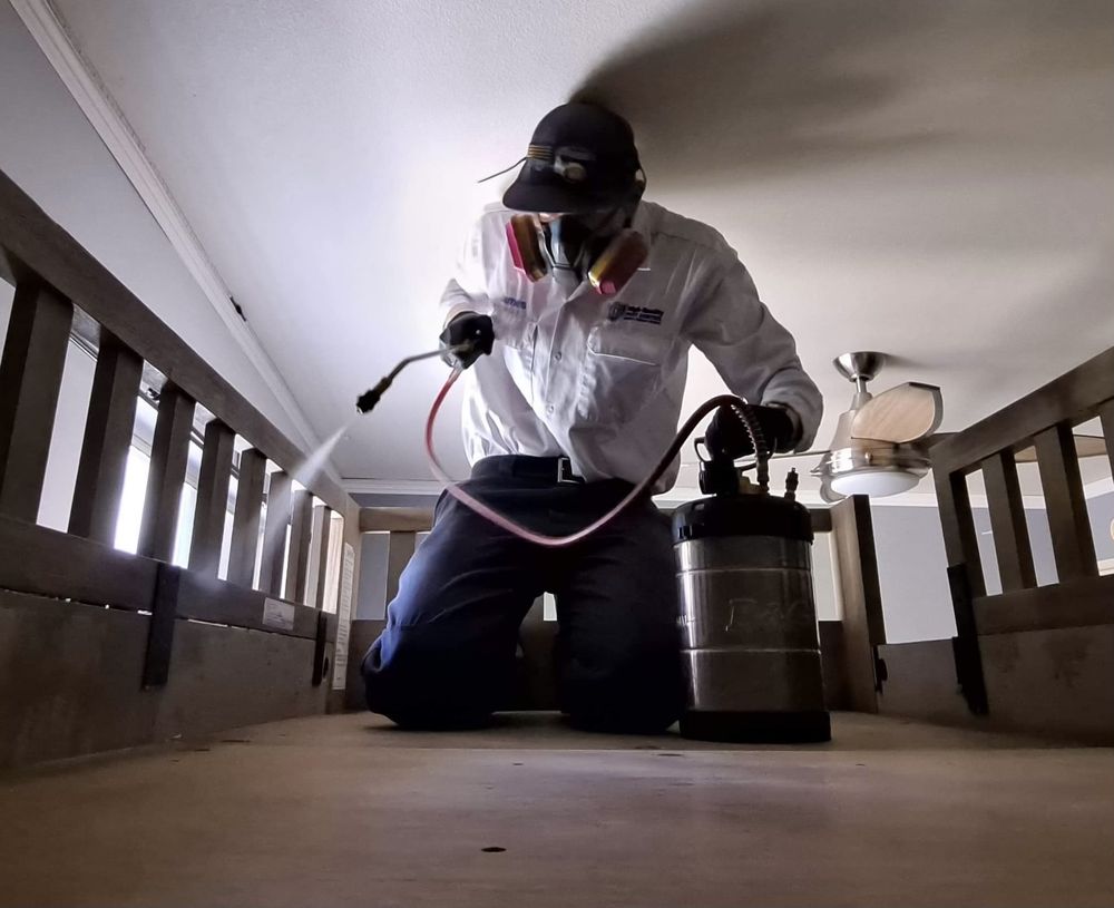 High Quality Pest Control