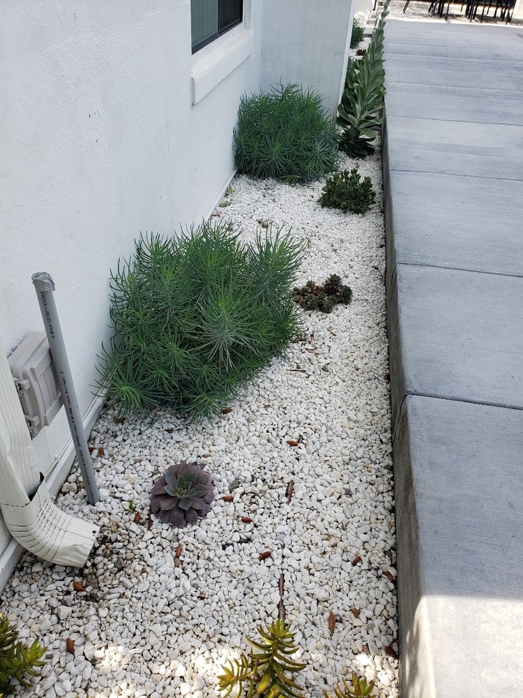Bernal Landscaping & Gardening Service