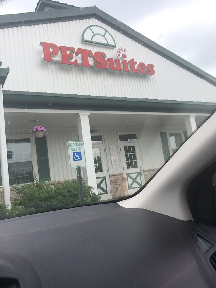 PetSuites Lexington 17 Reviews Pet Groomers 2057 Bryant Rd