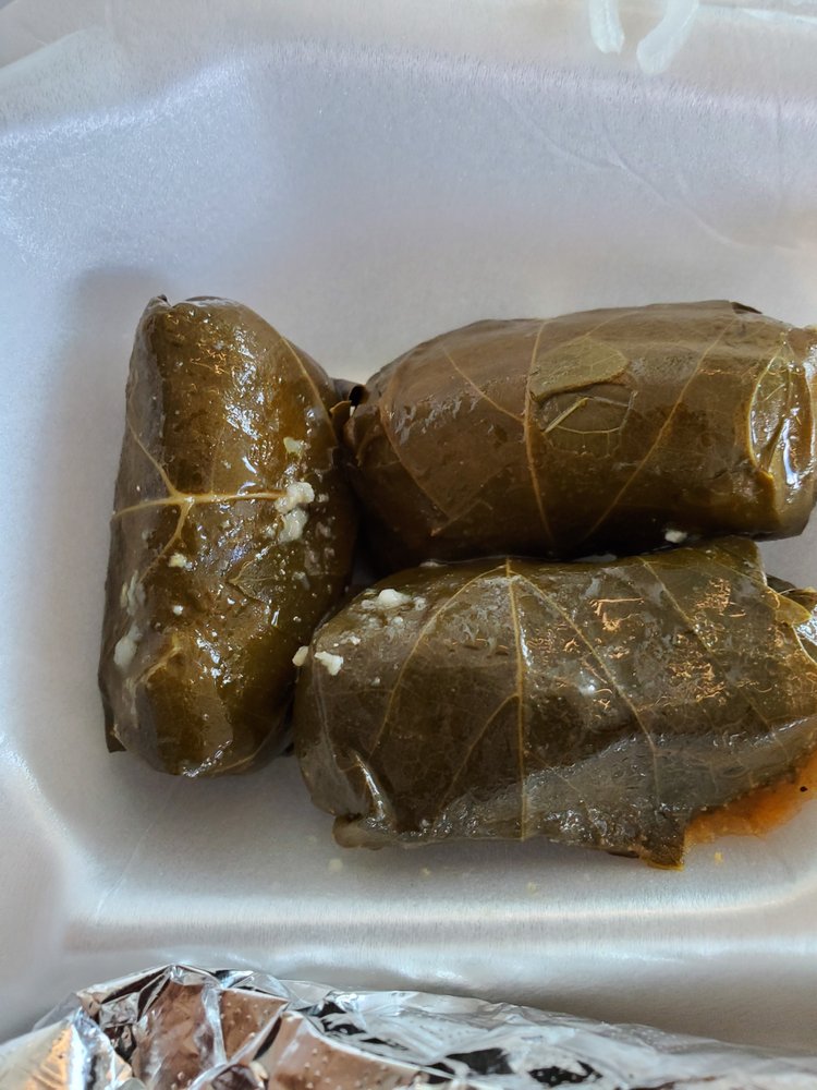 Gyro Oasis Gyro & Kebab