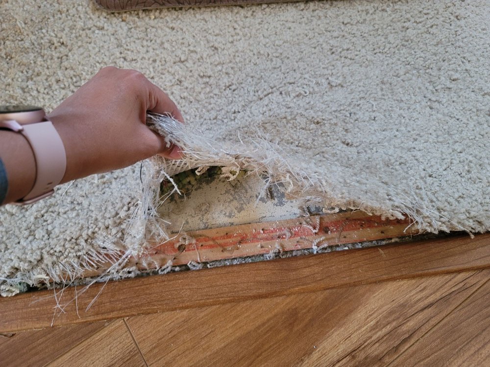 B & B Carpet Care