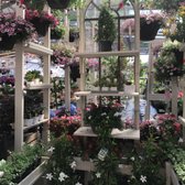 Orchard Nursery Florist 78 Photos 74 Reviews Nurseries Photo Of Orchard Nursery Florist Lafayette Ca United States