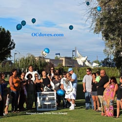 Newport Coast White Dove Release 238 Photos Wedding Planning Photo Of Newport Coast White Dove Release Los Angeles Ca United States