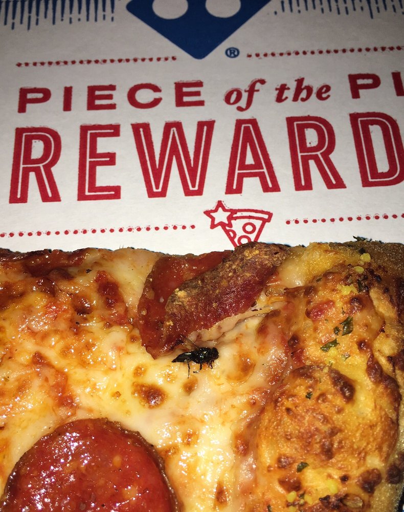 this is my pizza with the fly baked into it yelp
