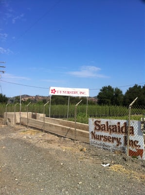 Ty Nursery Nurseries Gardening 31761 Trabuco Canyon Rd Photo Of Ty Nursery Trabuco Canyon Ca United States