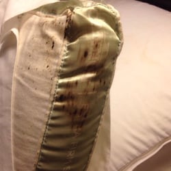 Lexington Inn Hotels 732 W Church St Tn Phone Photo Of Lexington Inn Tn United States Pillow On Bed