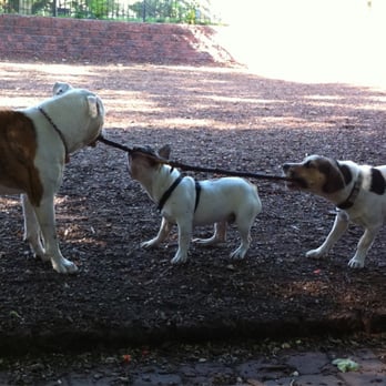 Seger Dog Park Philadelphia Seger Dog Park Philadelphia