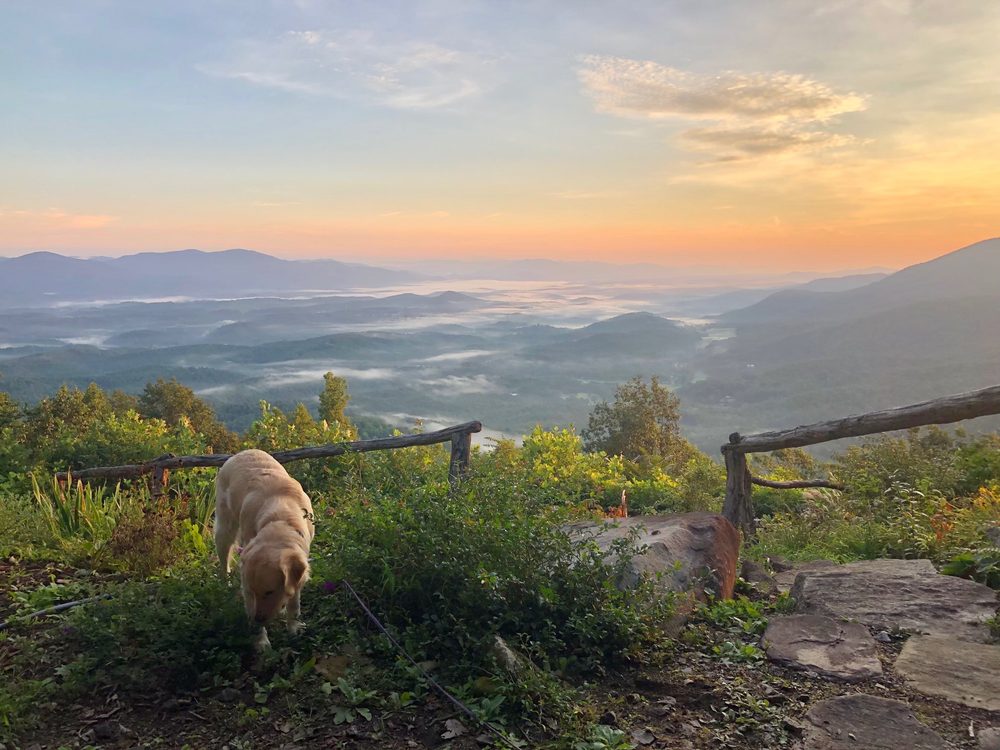 Jeannie Conner - Noble & Company Realty