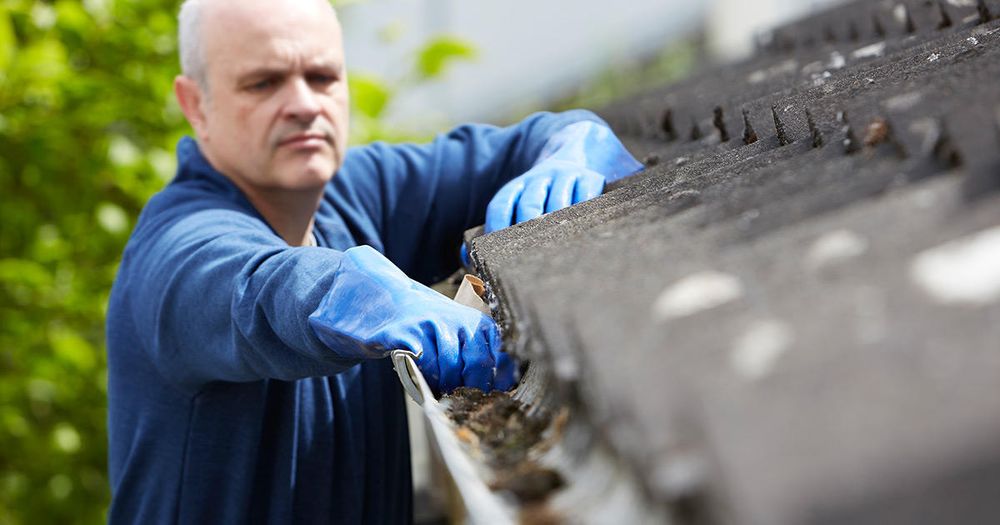 Tom McNulty General Maintenance