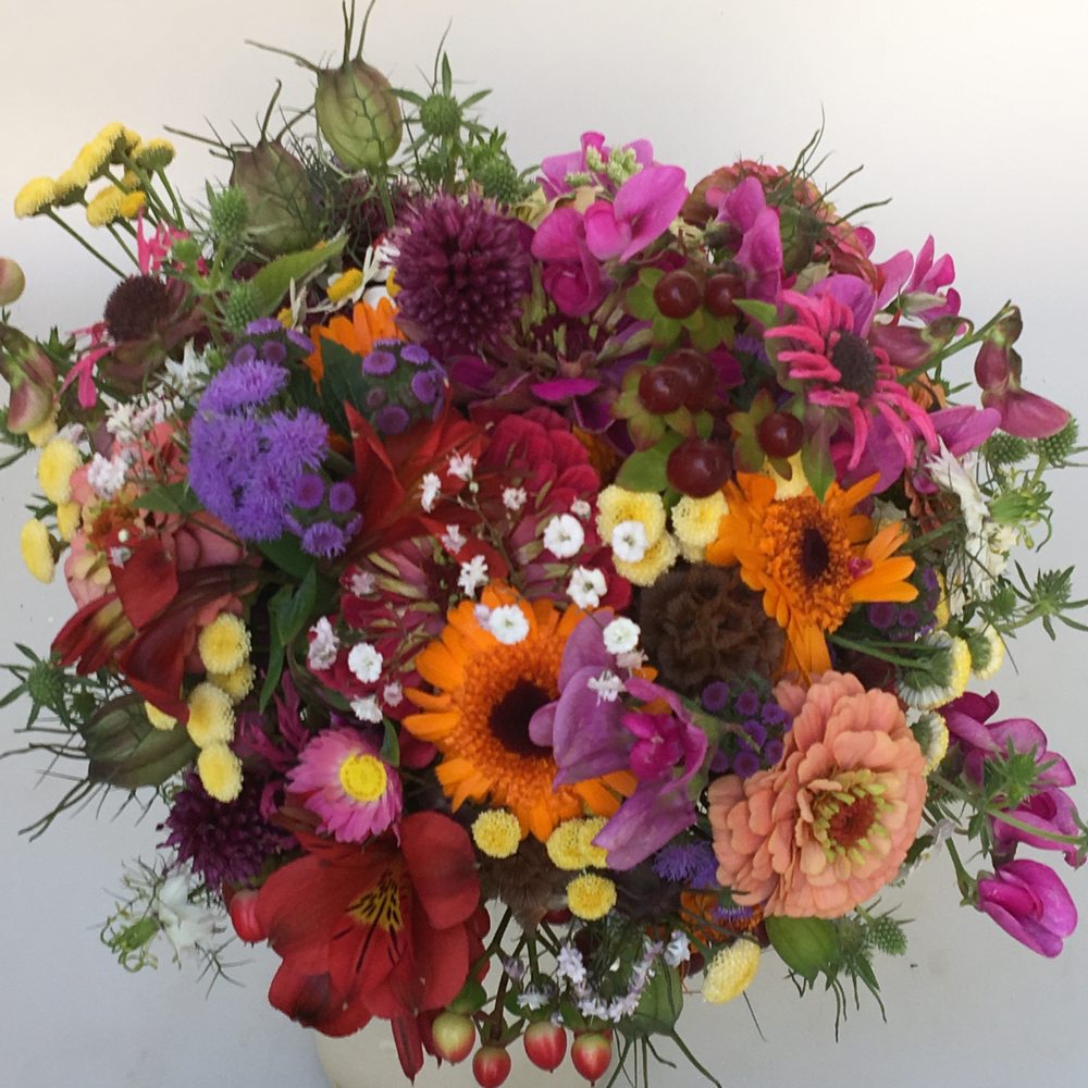 Blumen Schachtner 33 Photos Florists KarlTheodorStr. 33, Münchner Freiheit, Munich