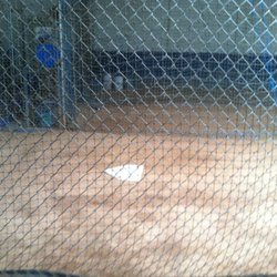 Inland Indoor Batting Cages - Sporting Goods - 7393 Orangewood Dr ... Inland Indoor Batting Cages - Sporting Goods - 7393 Orangewood Dr ...