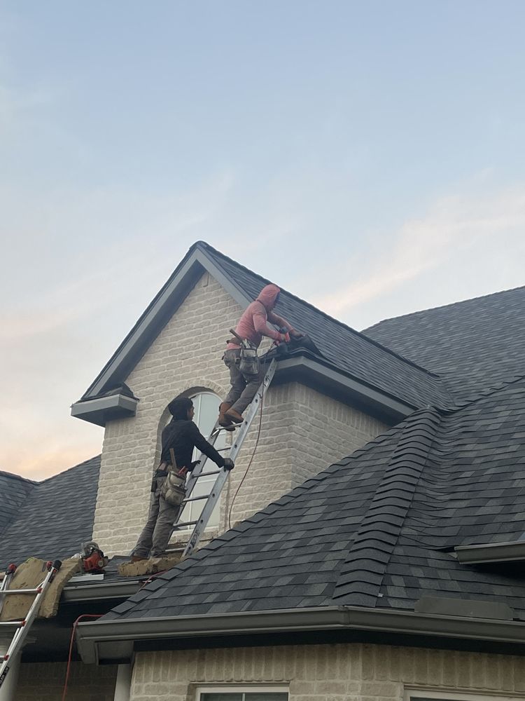 Lifeline Roofing Systems