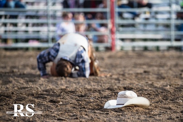 Picture Perfect by Roseanna