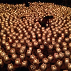 lantern floating hawaii memorial day 312 photos 45 reviews