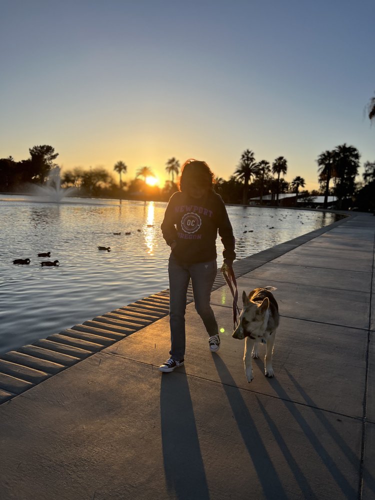 Start Pawsitive Dog Training Image