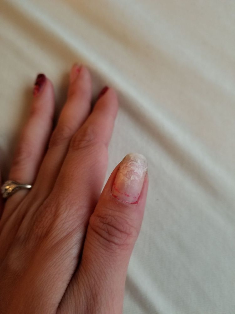 Art Nails New 45 Photos 16 Reviews Nail Salons 1350 W Army