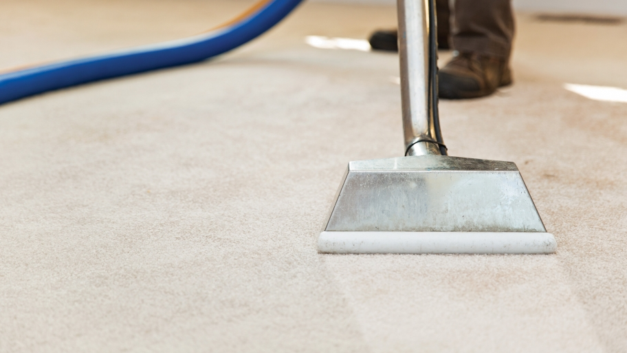 Affordable Carpet Cleaning