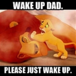 Walter J Palmer, DDS - Minneapolis, MN, United States