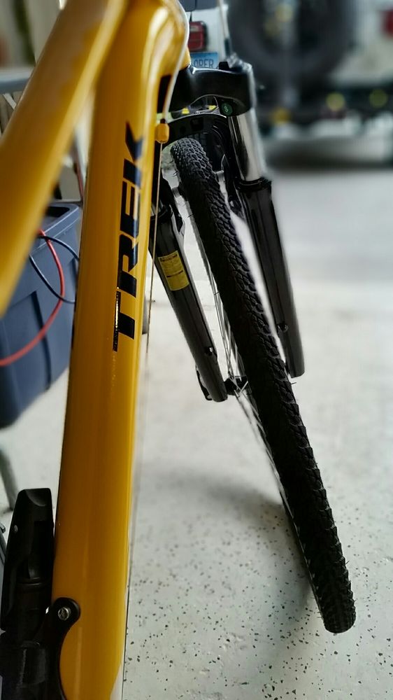 david's world cycle near me