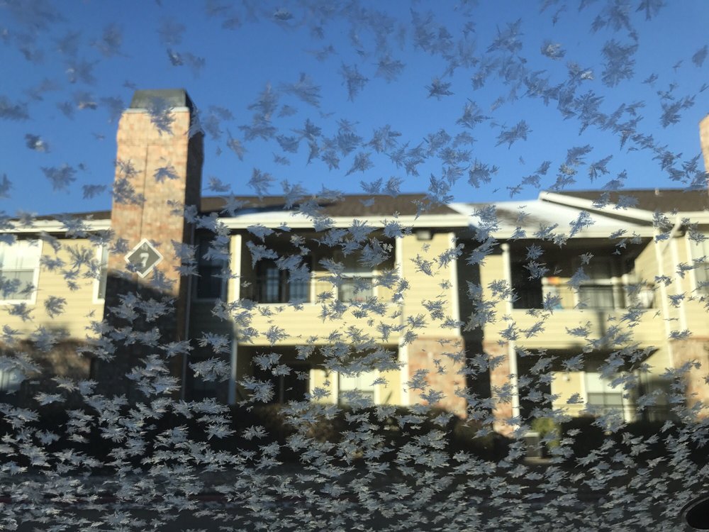 Outside View With Some Snowflakes In The Windshield Yelp