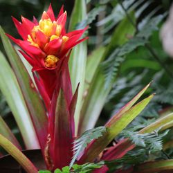The Best 10 Botanical Gardens Near Kihei Hi 96753 Last Updated Kula Botanical Gardens