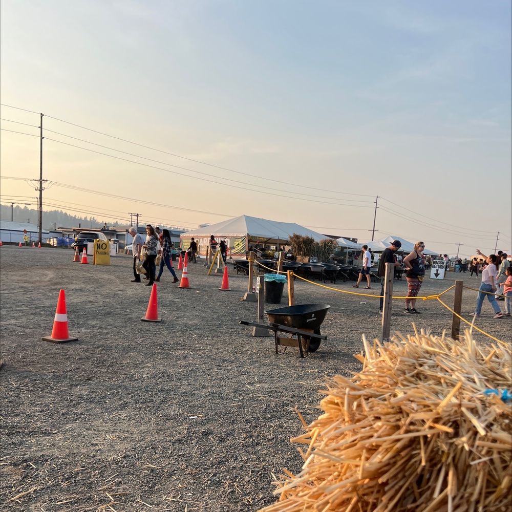 Carpinito Brothers Pumpkin Patch