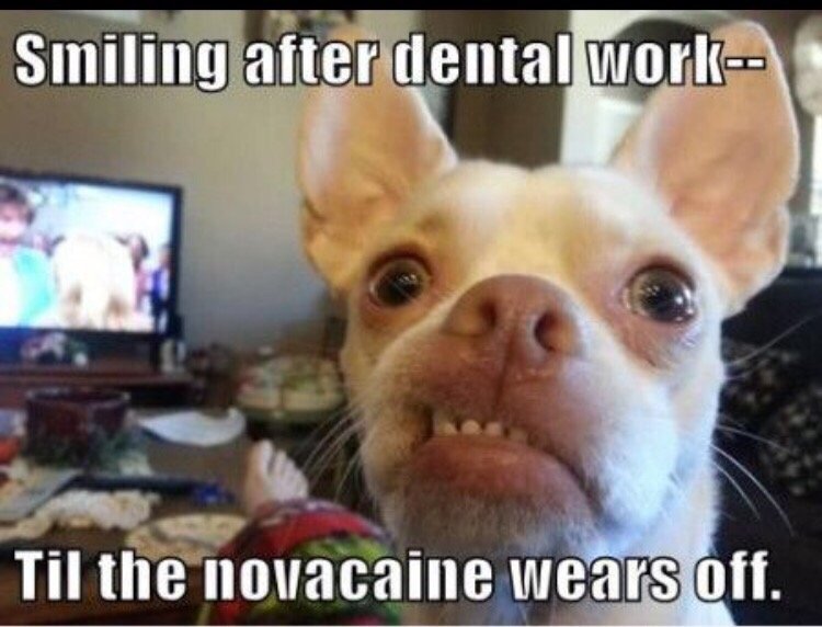 image of business Rivertown Dental Care